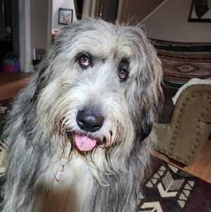 Meet your Posher, Jo